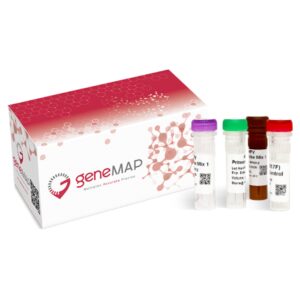 geneMAP™ CCHF Virus Detection Kit