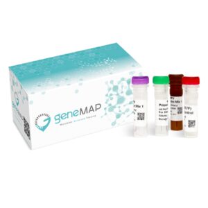 geneMAP™ Thrombophilia Panel (FII, FVL, MTHFR677, MTHFR1298)