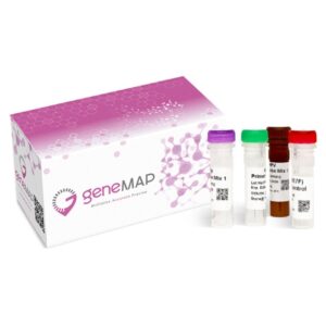 geneMAP™ TEL-AML1 t(12;21) Detection Kit