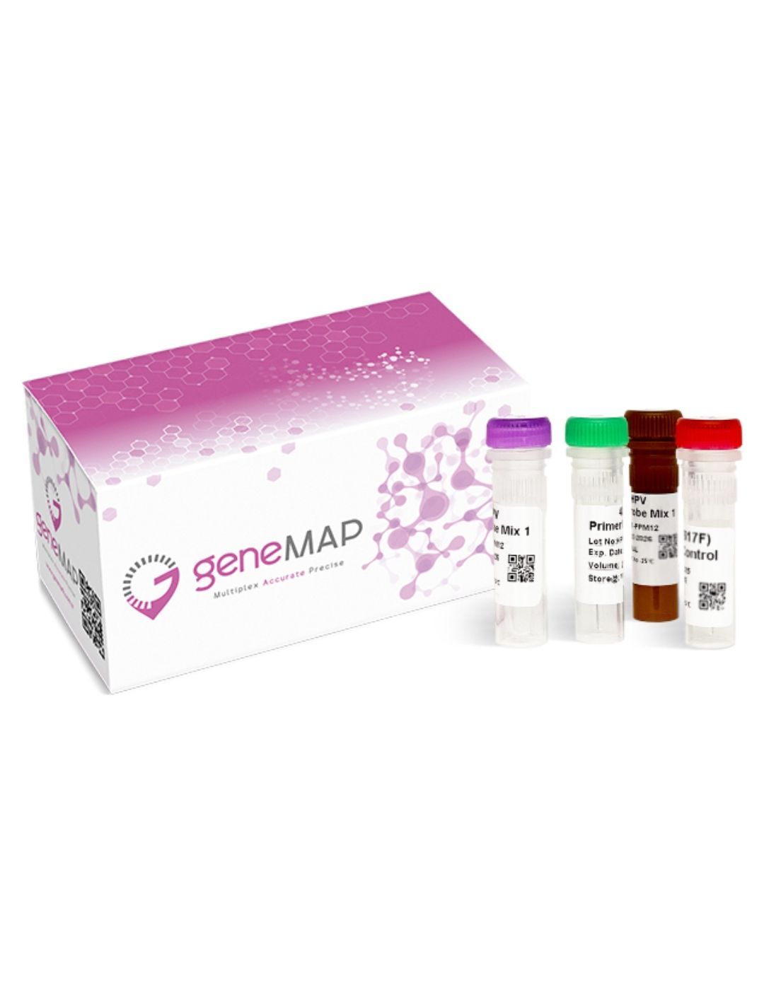 geneMAP™ TEL-AML1 t(12;21) Detection Kit