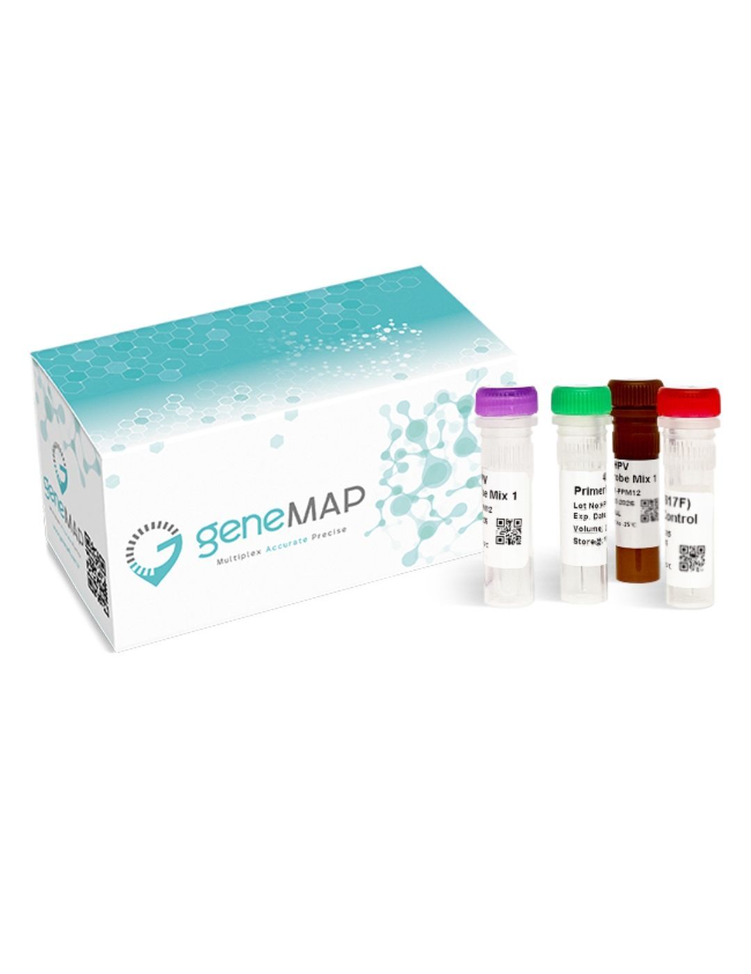 geneMAP™ MTHFR C677T Mutation Detection Kit
