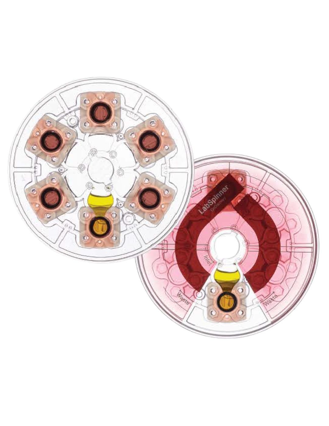 ExoDisc® D100 F6